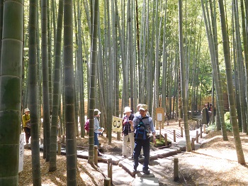 報国寺